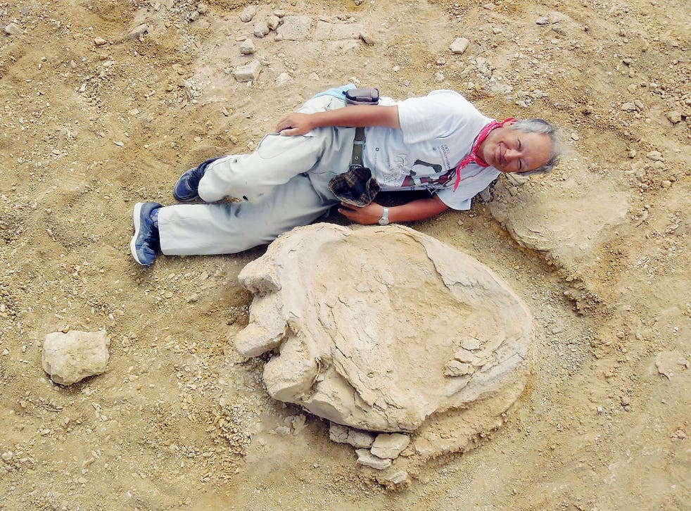 Fossil Poachers Are Undermining Science And Fooling Enthusiasts The Independent The Independent Fossil Poachers Are Undermining Science And Fooling Enthusiasts The Independent The Independent