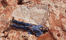 Biggest dinosaur footprints discovered in 'Australia’s Jurassic Park'