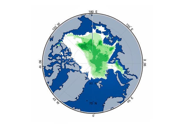 This computer model shows areas of ice thin enough to allow plankton to grow underneath