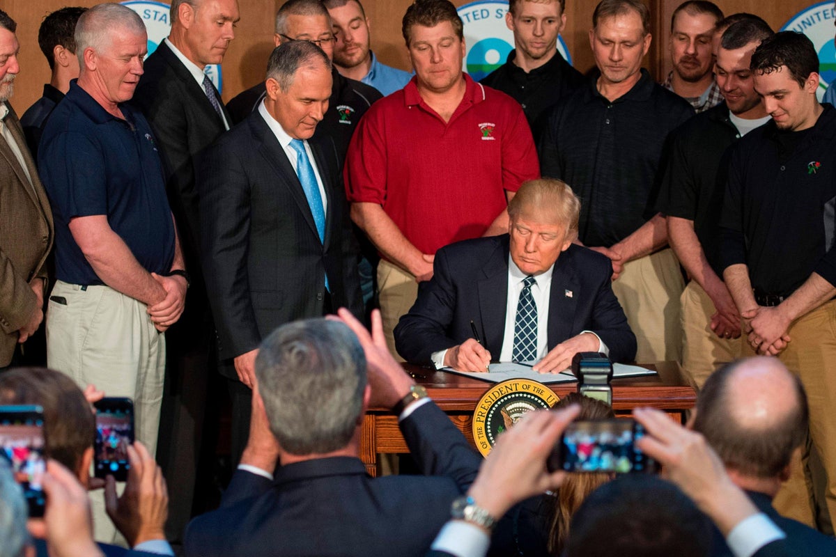 Donald Trump's 'insane' climate change policy will destroy more jobs ...