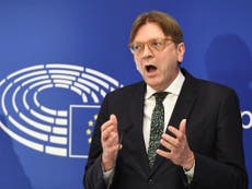 Guy Verhofstadt brands Brexit a Tory 'catfight' that got out of hand