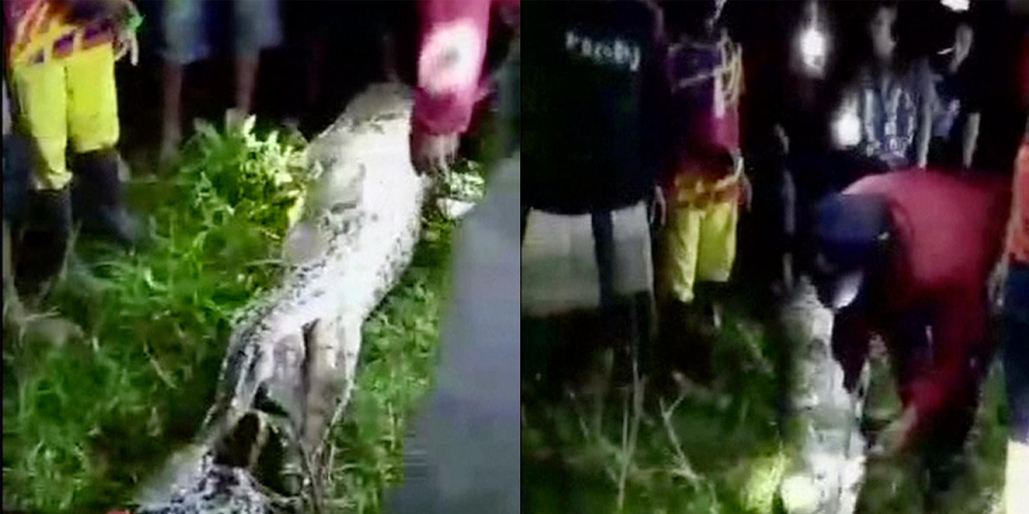 This man went missing and was found inside a python | indy100 | indy100