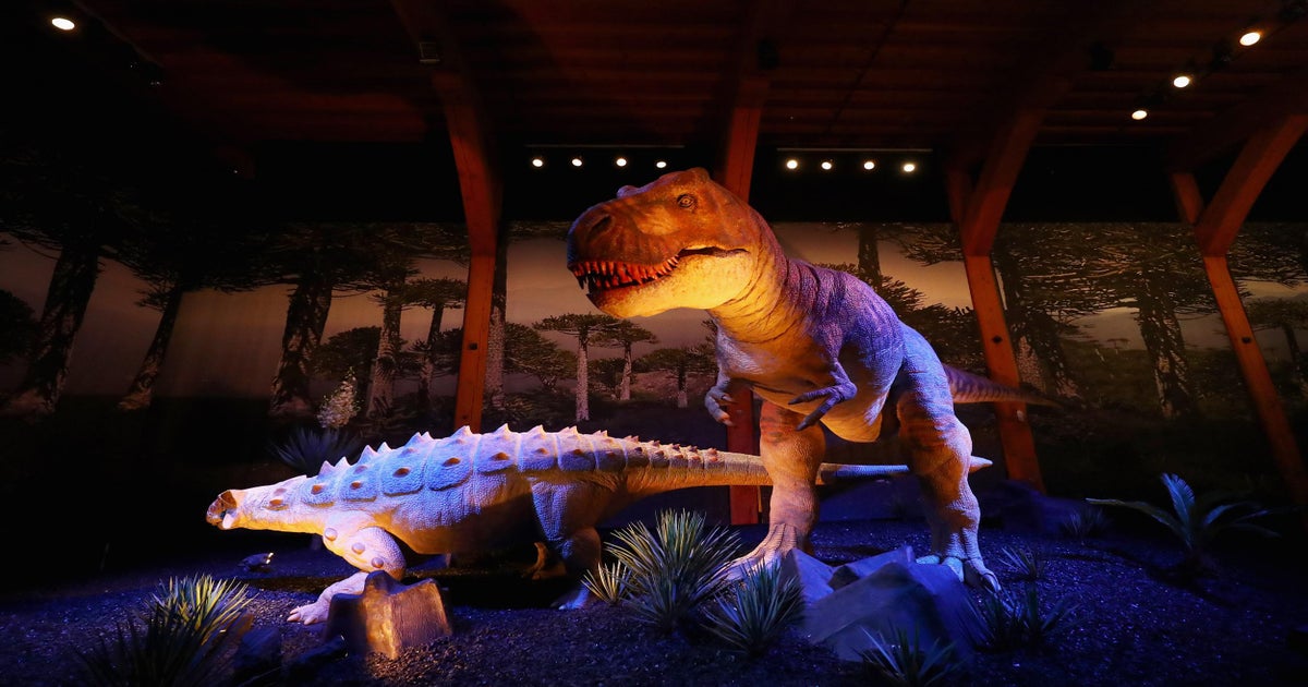 Sensitive T. rex? This new dino might change the face of