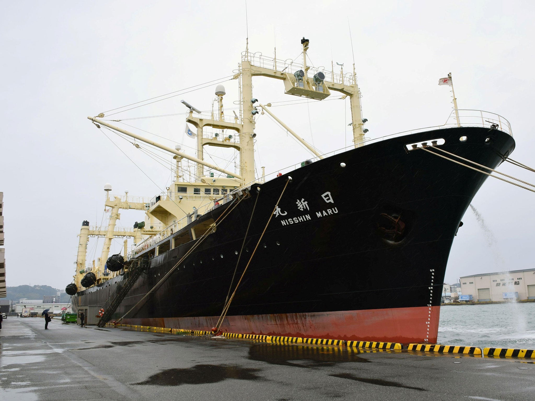 Japanese whaling vessel the Nisshin Maru returns to the Shimonoseki port in southwestern Japan