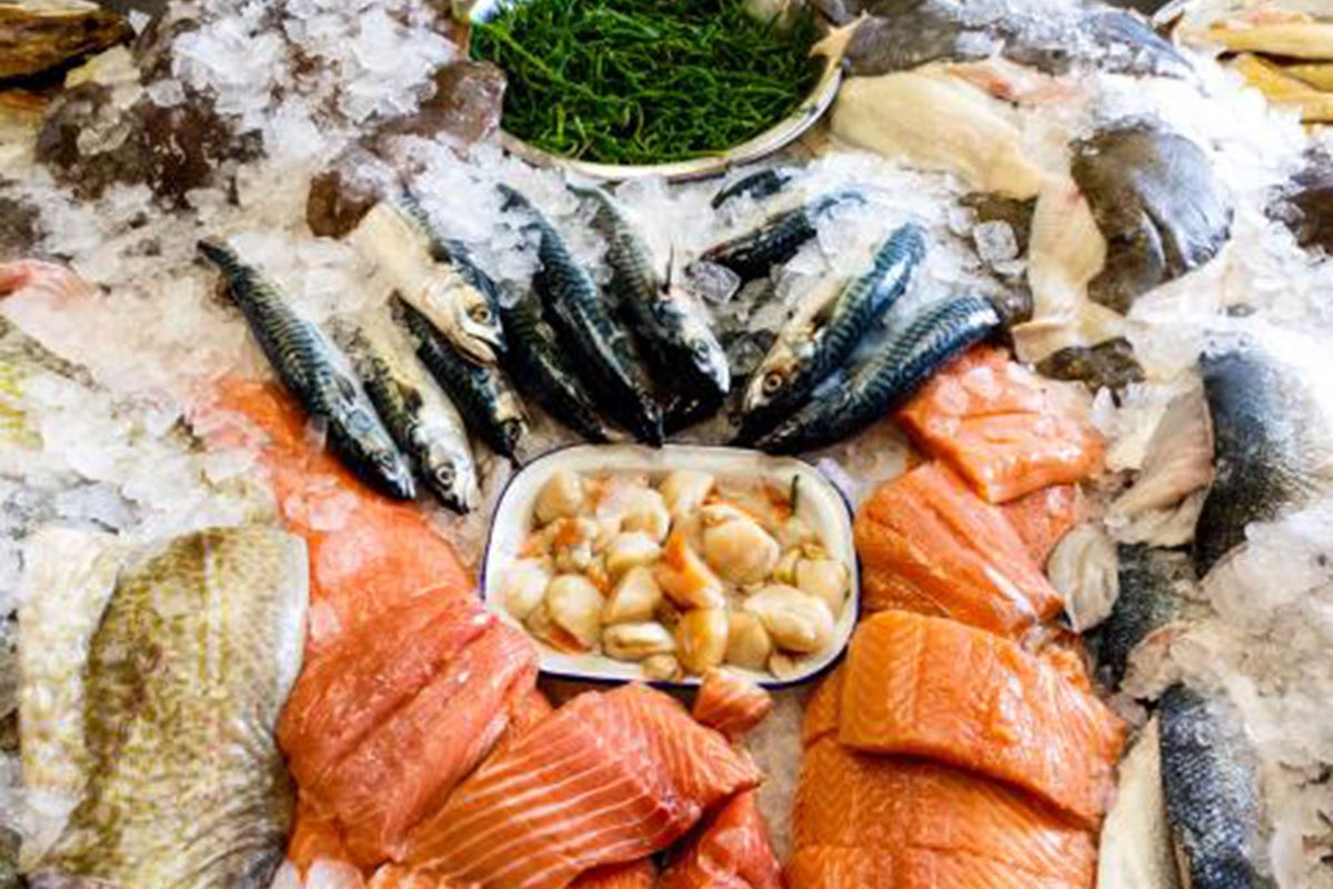 Green fish: Navigating the waters of sustainable seafood | The ...