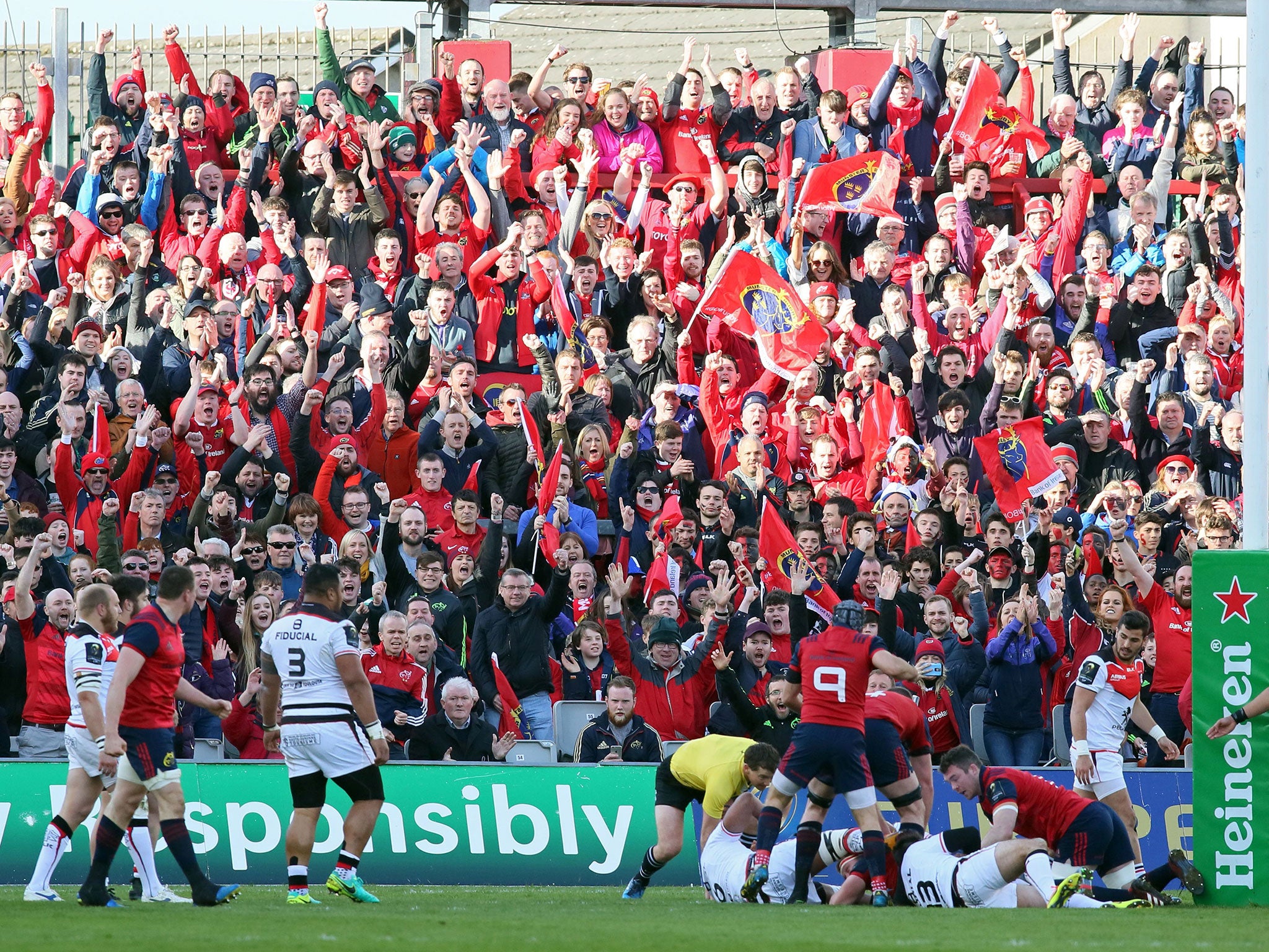 Munster fans celebrate their team's first try during the European Champions Cup quarter-final rugby