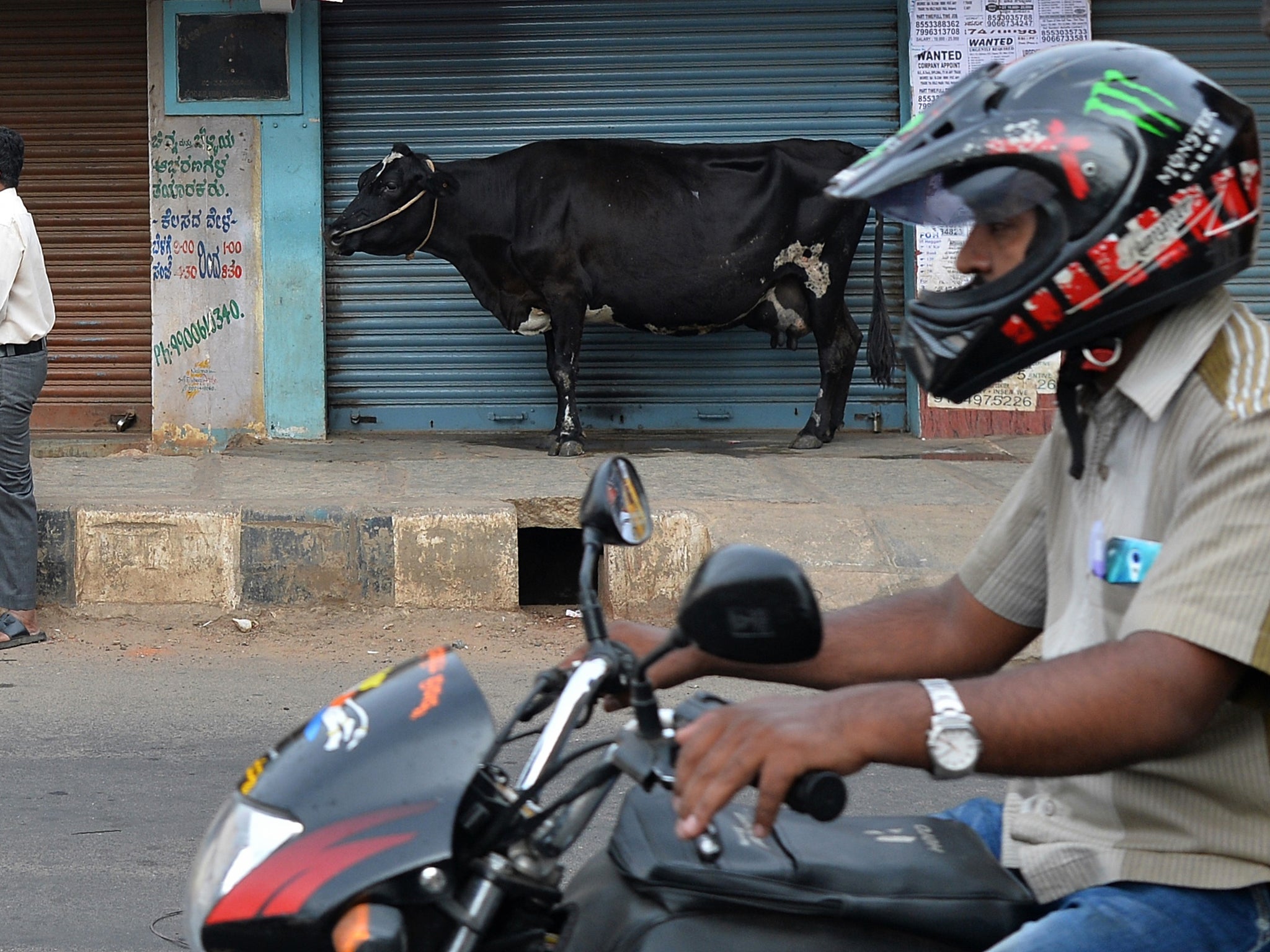 A cow stands next to a shuttered store as a biker rides past on a street in Bangalore
