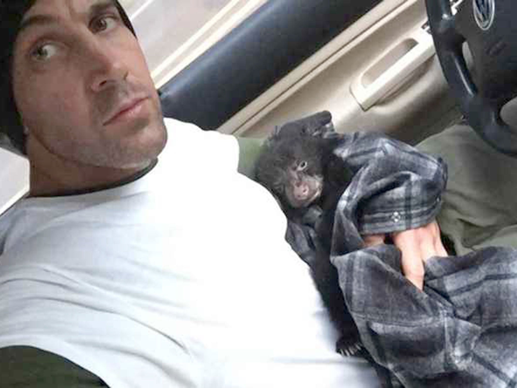 Man risks his life to save bear cub | The Independent | The Independent