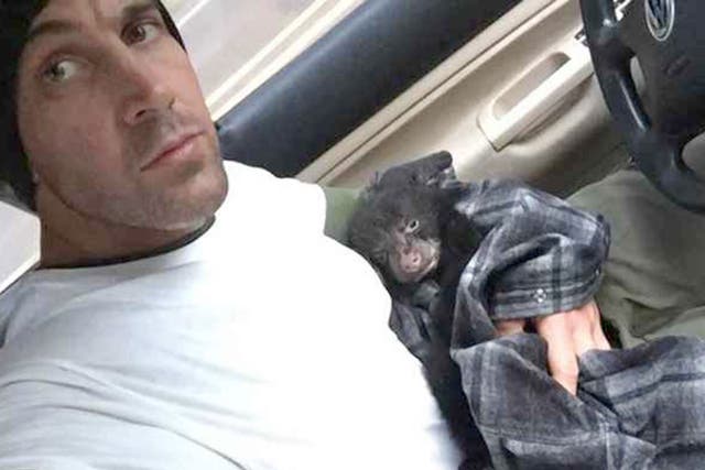 After finding a dying black bear cub in the wild, Corey Hancock made the difficult decision to rush the animal to a rehabilitation facility. Authorities said the cub was dehydrated, malnourished and suffering from pneumonia