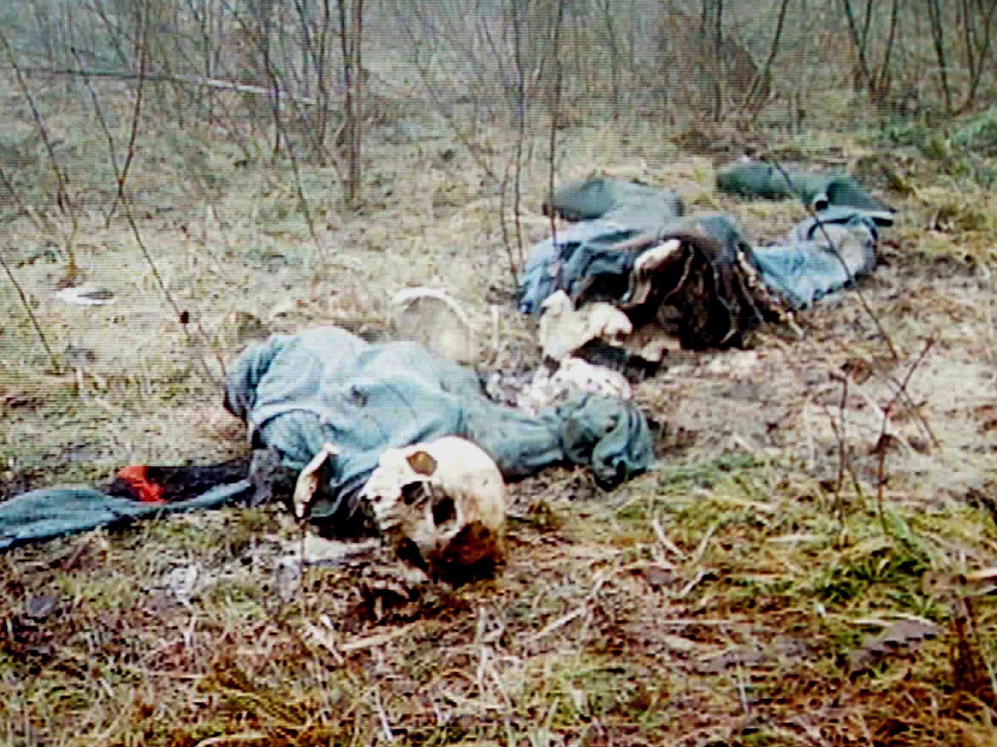 Skeletons of men killed in woods near Srebrenica. Member states skilfully swerved the massacre and genocide of the Balkans conflict back in 1995