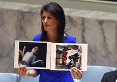 US vows to 'take its own action' in Syria if UN fails to do so