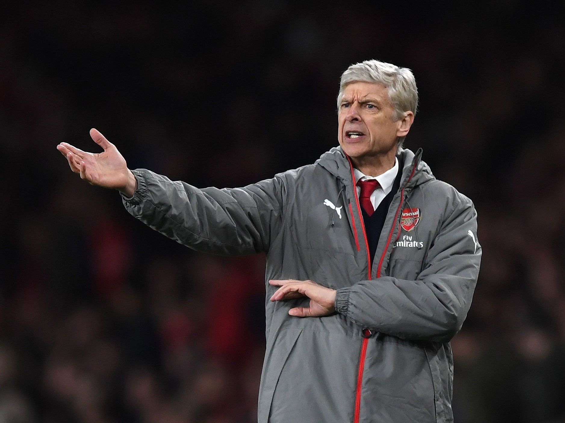 Arsene Wenger has come under intense pressure from sections of Arsenal's support