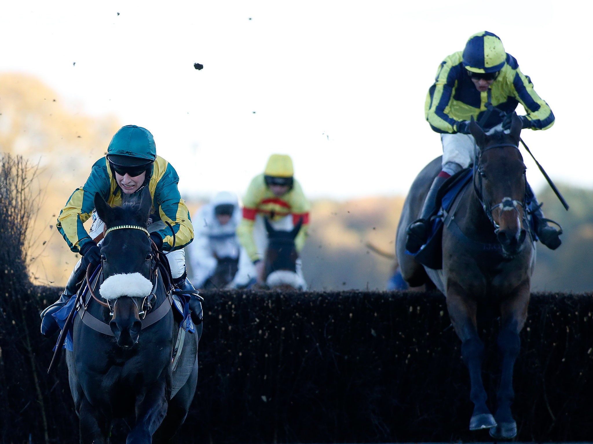 Go Conquer stands out in the Randox Health Topham Chase