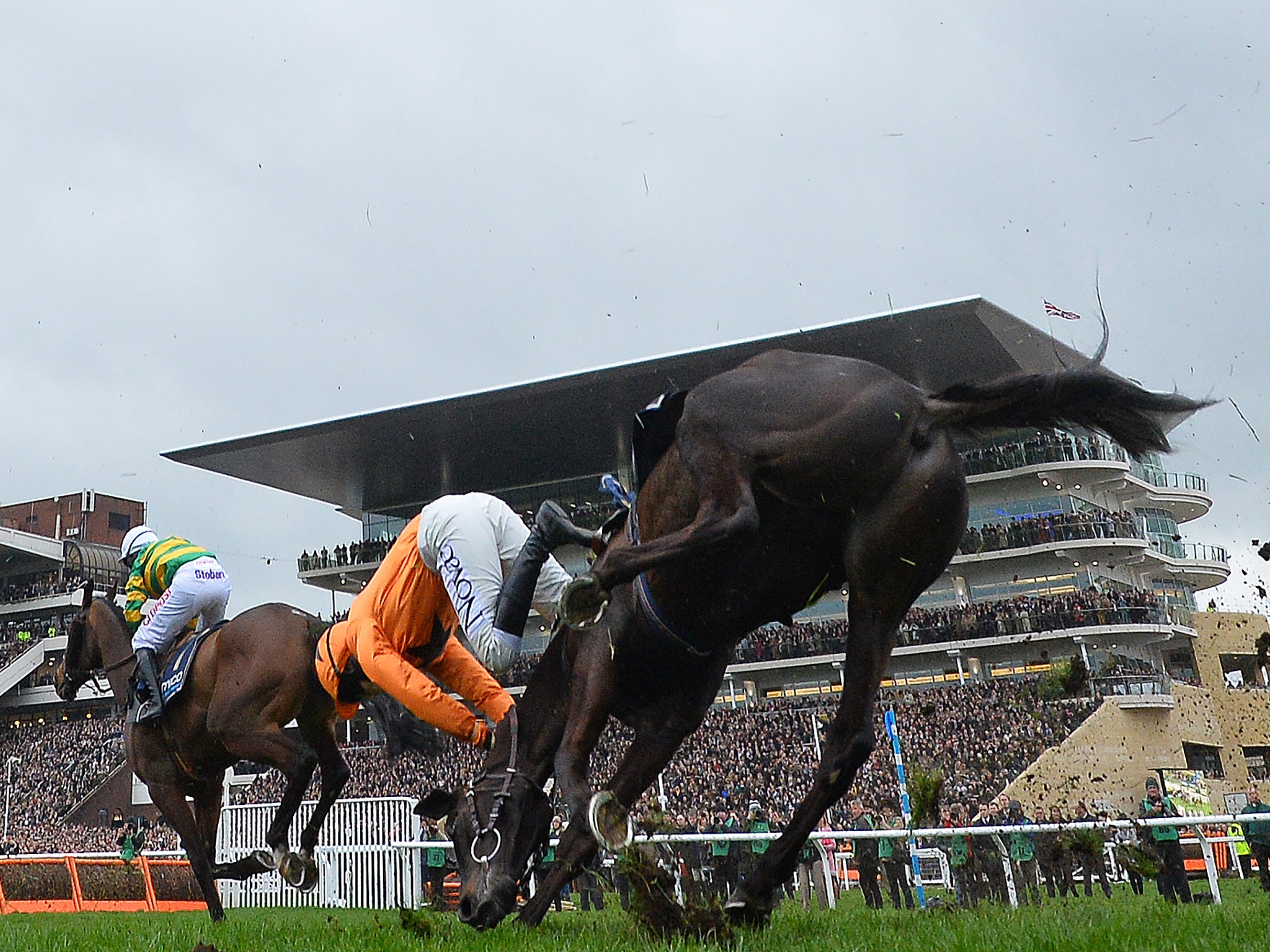 Kelly falls from her horse during the Gold Cup (AFP/Getty )