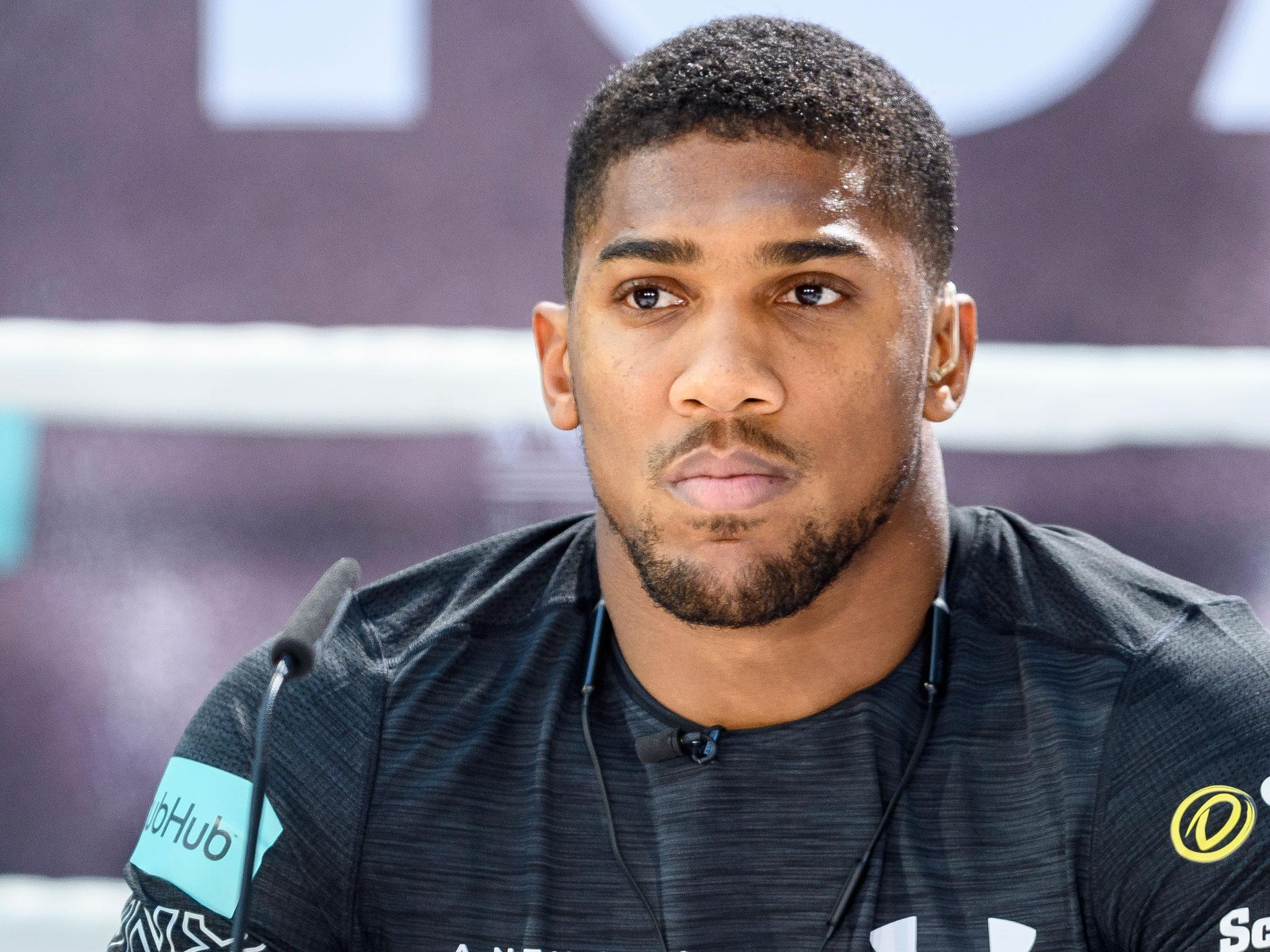 Anthony Joshua believes his entire career has been building to this fight against Wladimir Klitschko