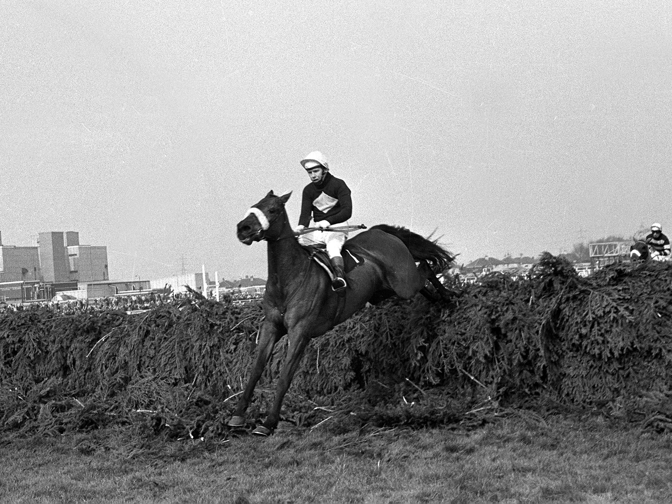 Red Rum competing in the 1974 Grand National