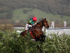 How Rogue Angel is bringing the Brexit battle to the Grand National