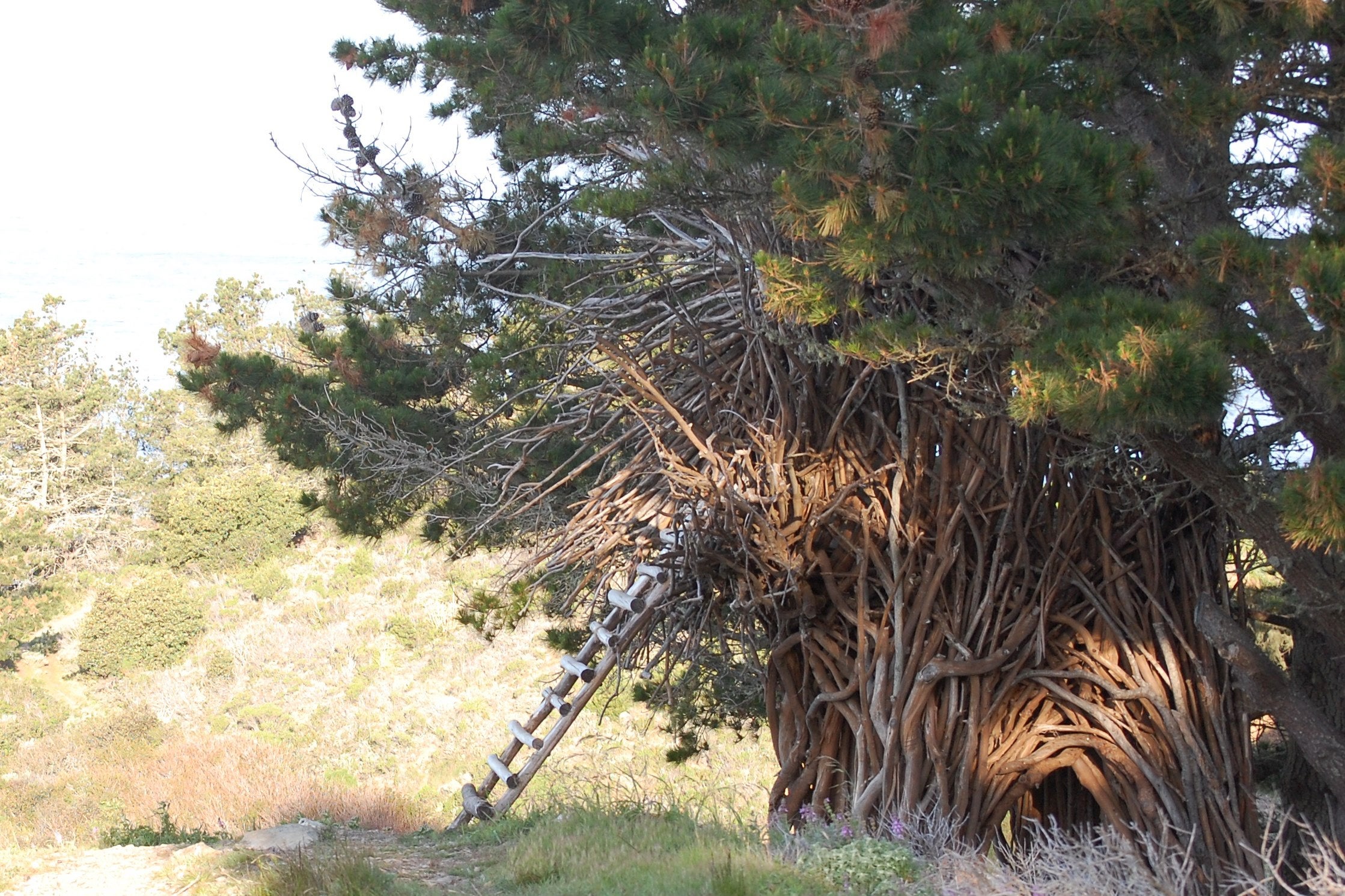 The Nest at Treebones Resort