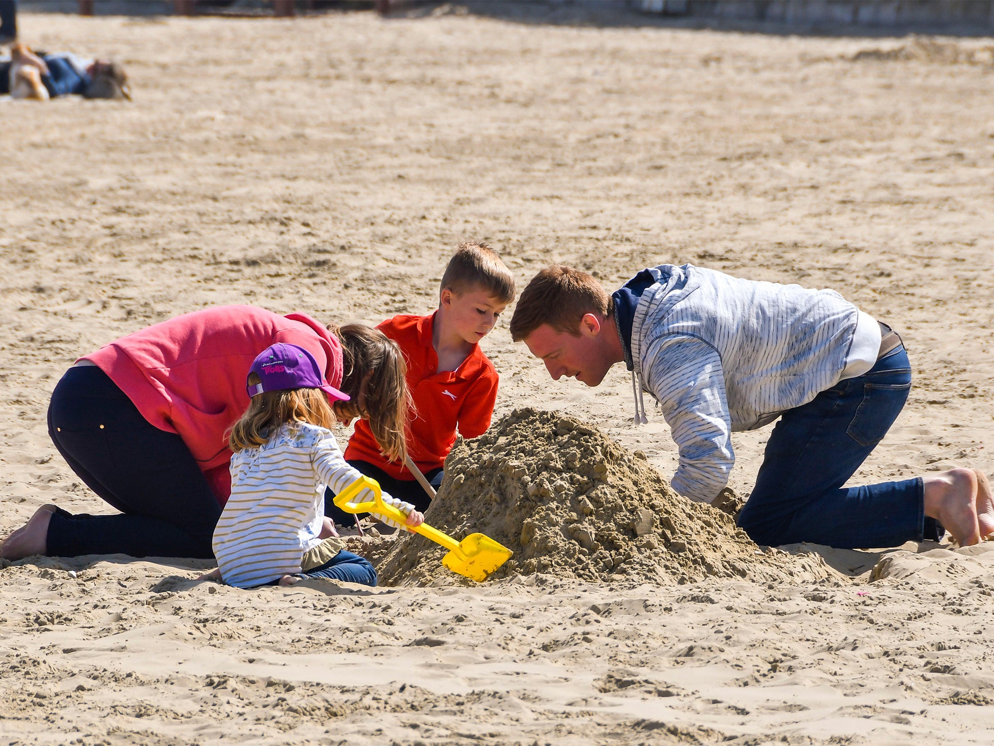 Balmy Britain: beachgoers in Weymouth, Dorset build a sandlecastle on Friday, as the weather warms