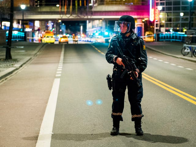 <p>Armed police in Oslo, Norway (file image)</p>