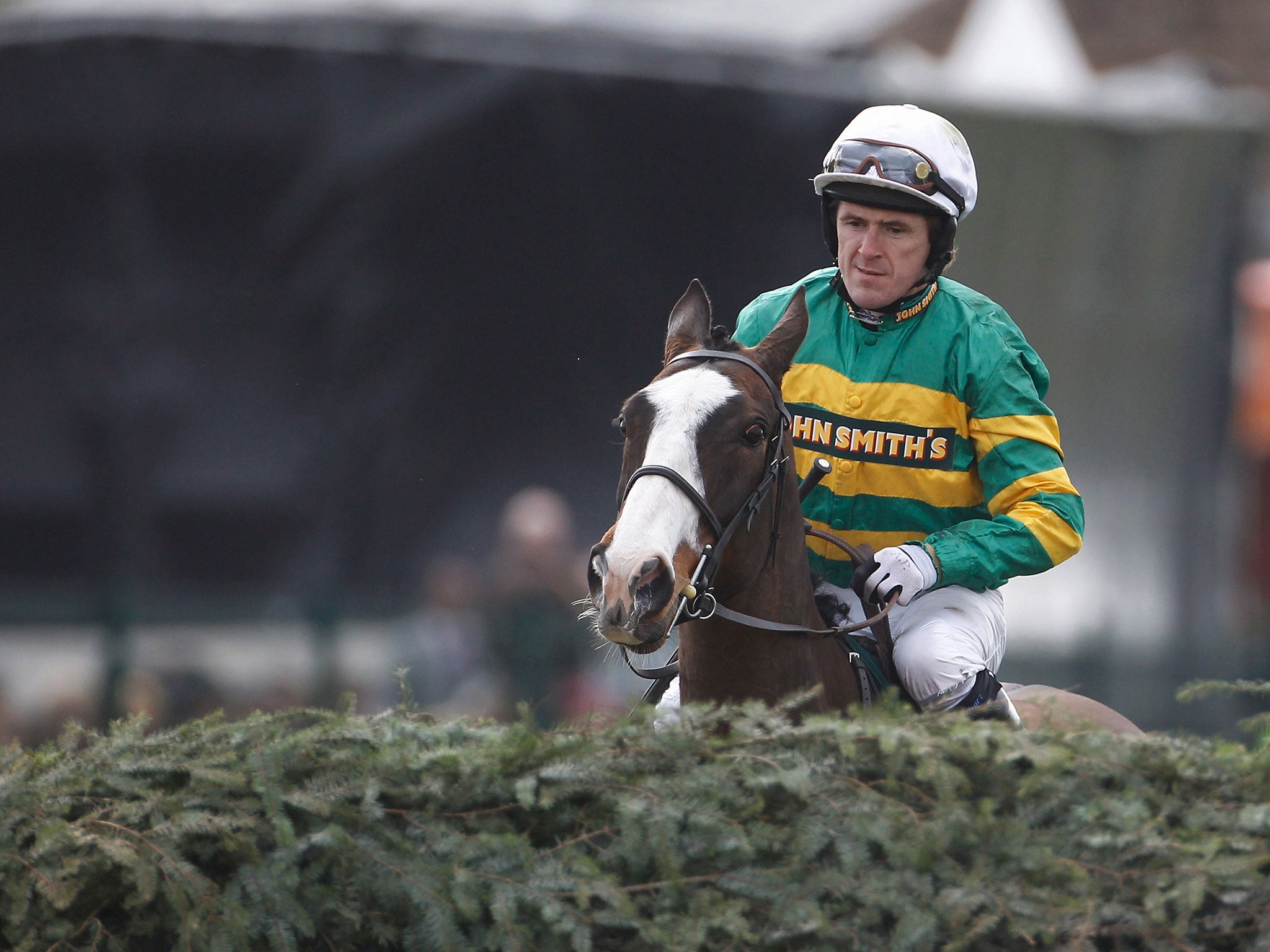 Synchronised was put down after suffering a fall when it unseated AP McCoy and continued before falling again