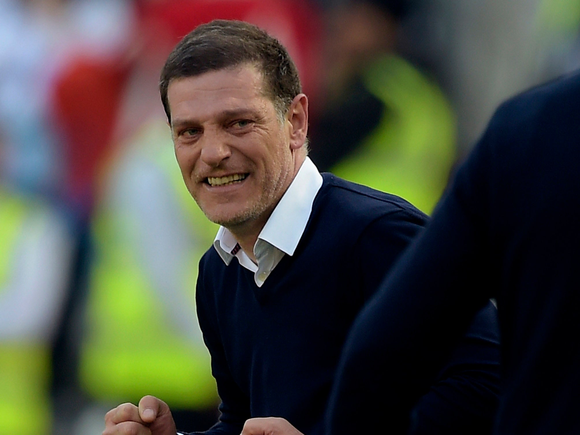 Bilic helped West Brom to promotion