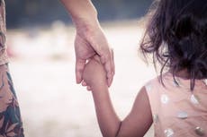 Including parental alienation in legal definition of domestic abuse ‘places victims at great risk’
