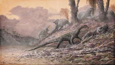 Fossil discovery hailed as missing link in dinosaur evolution