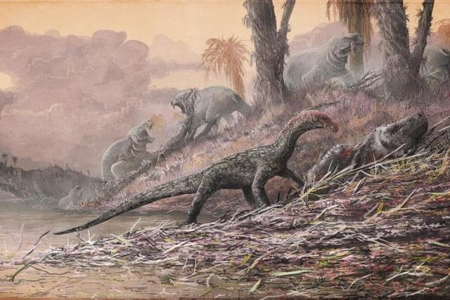 A Teleocrater rhadinus, a close relative of dinosaurs, is seen feasting on an ancient mammal relative, Cynognathus, in Tanzania during the Triassic period in this artist's impression. A large dicynodont Dolichuranus is seen in the background