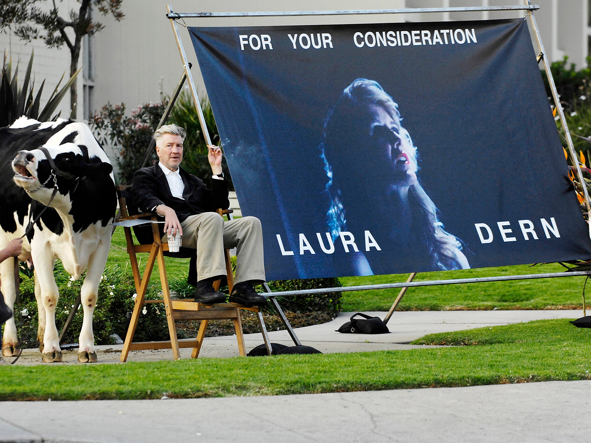 david-lynch-cow.jpg