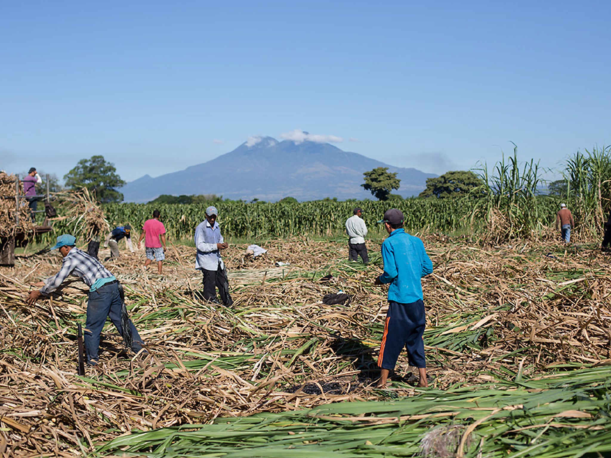 Many working outdoors in San Marcos Lempa suffer from kidney disease (© Brett Gundlock/Boreal Collective/Mosaic)