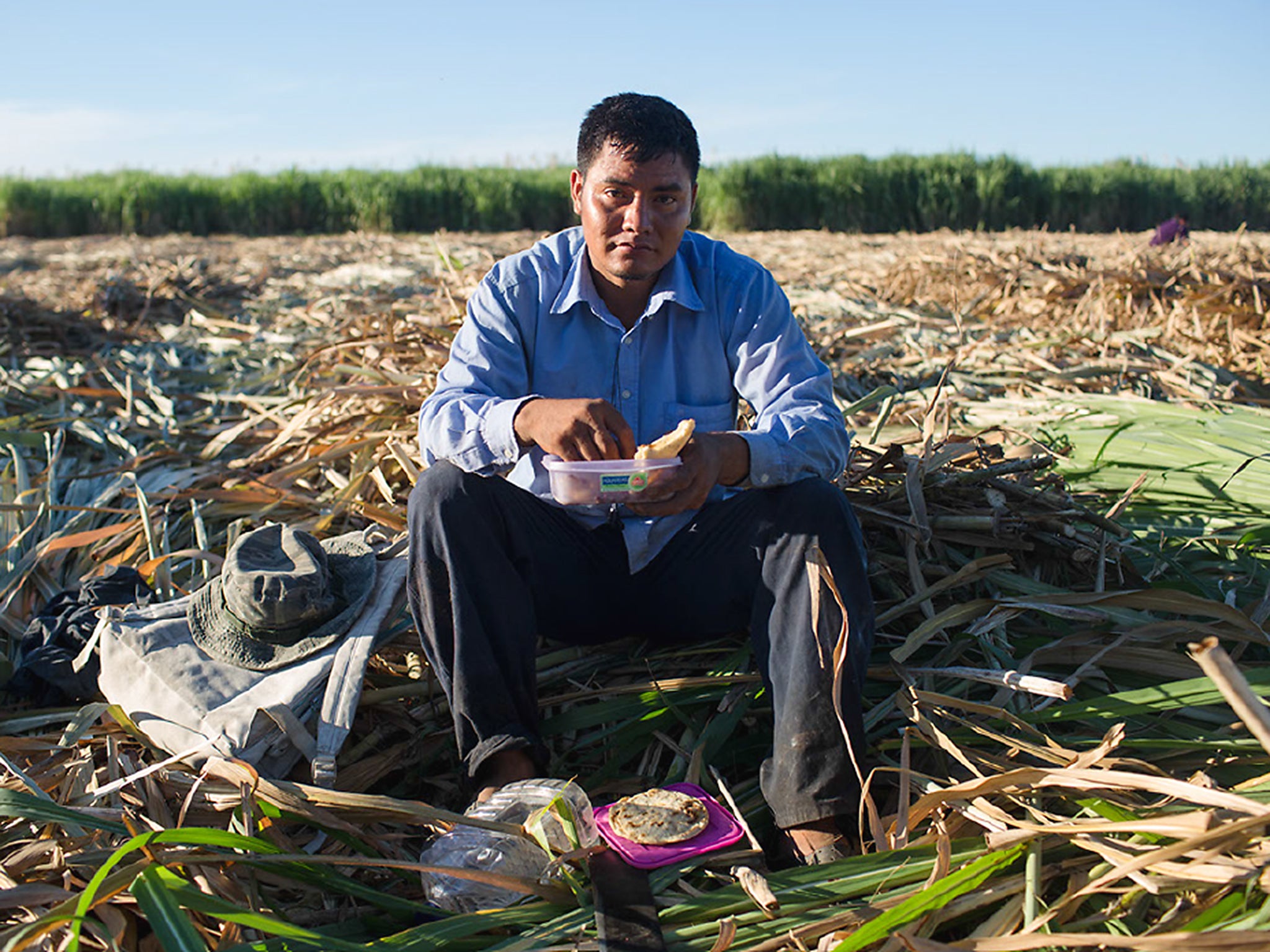 A man rests during the harvest of a sugarcane field in San Marcos Lempa, El Salvador, where dehydration is threatening the lives of thousands