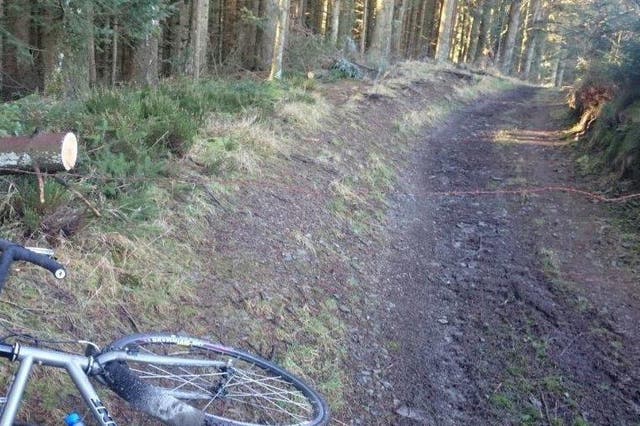 David Roberts placed barbed wire placed across a forest cycle path