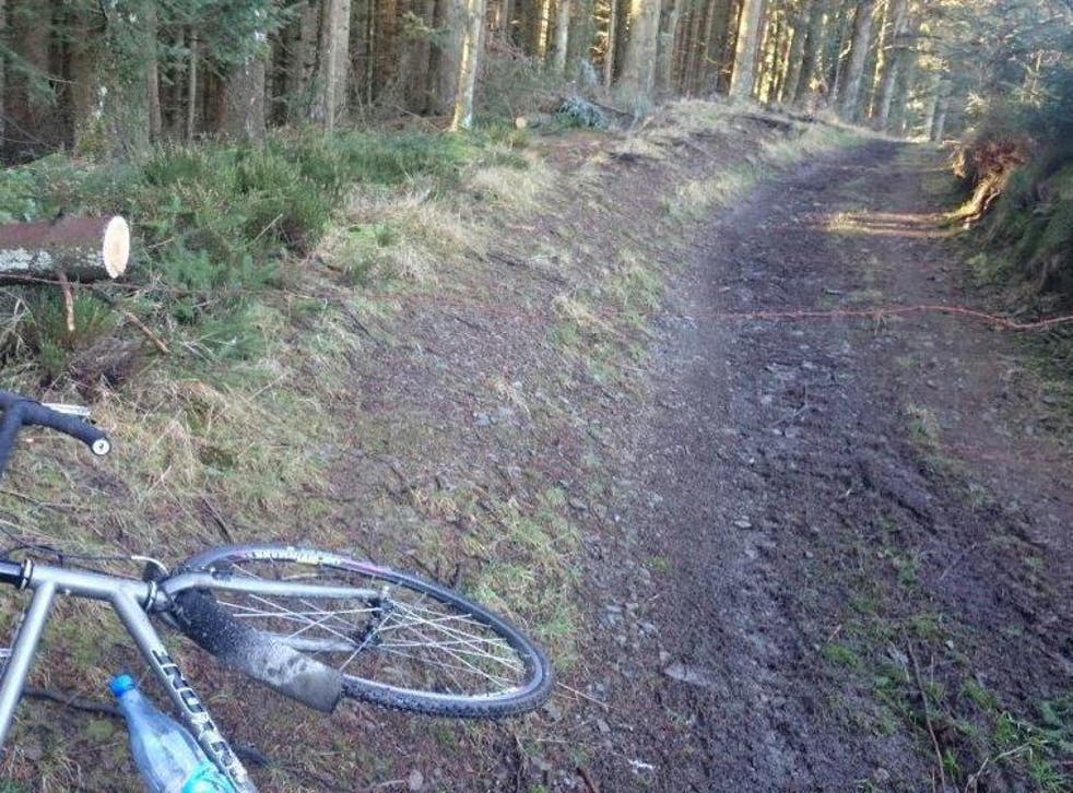 David Roberts placed barbed wire placed across a forest cycle path