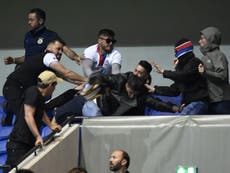 Lyon vs Besiktas delayed after 'projectiles and firecrackers' hit fans