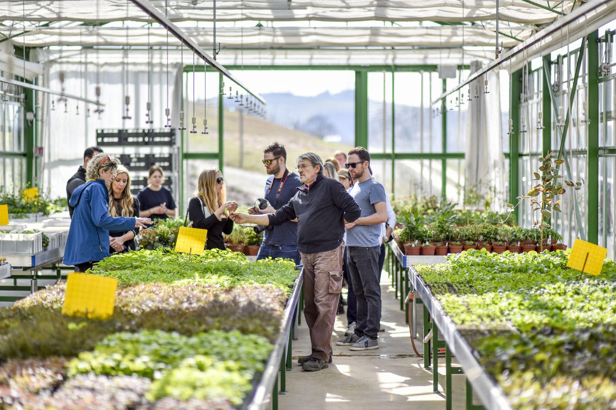 The greenhouse where everything in the dish is grown