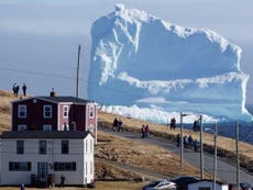 Breathtaking photos show massive icebergs floating by a seaside town