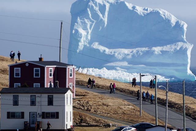 The huge iceberg appears to have grounded off the coast of Newfoundland