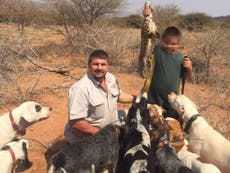South African hunter ‘eaten by crocodiles’ in Zimbabwe