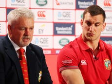 Player-by-player profile of Gatland's 41-man Lions squad 