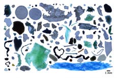 Arctic Ocean contains 300 billion pieces of plastic, study suggests