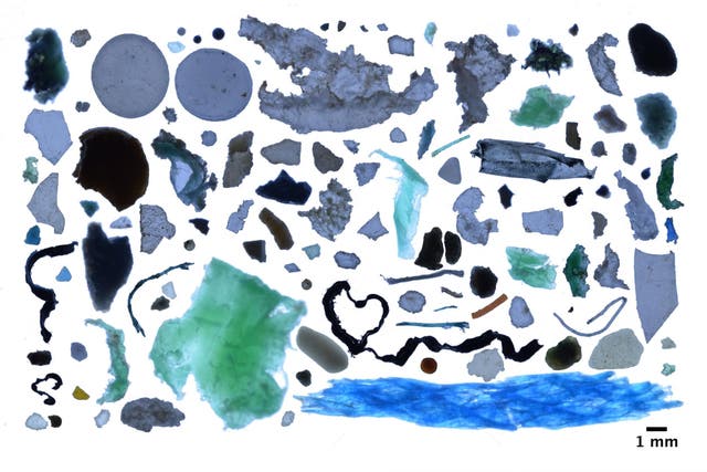 A collection of plastic rubbish found in the Arctic