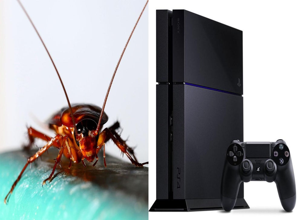 Your PlayStation 4 might be full of cockroaches indy100 indy100
