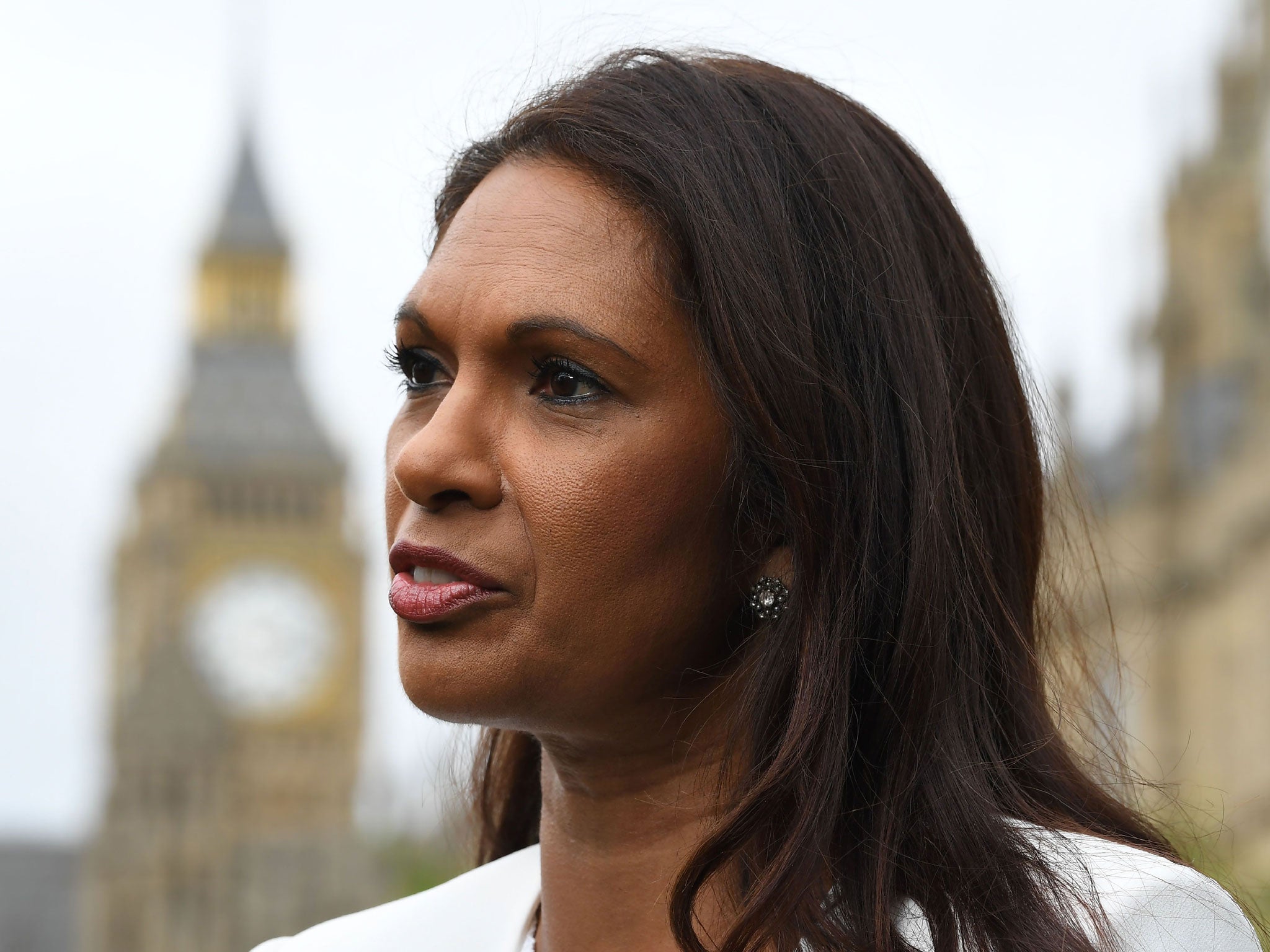 Gina Miller's campaign started off with a target to raise £10,000 but quickly exceeded it