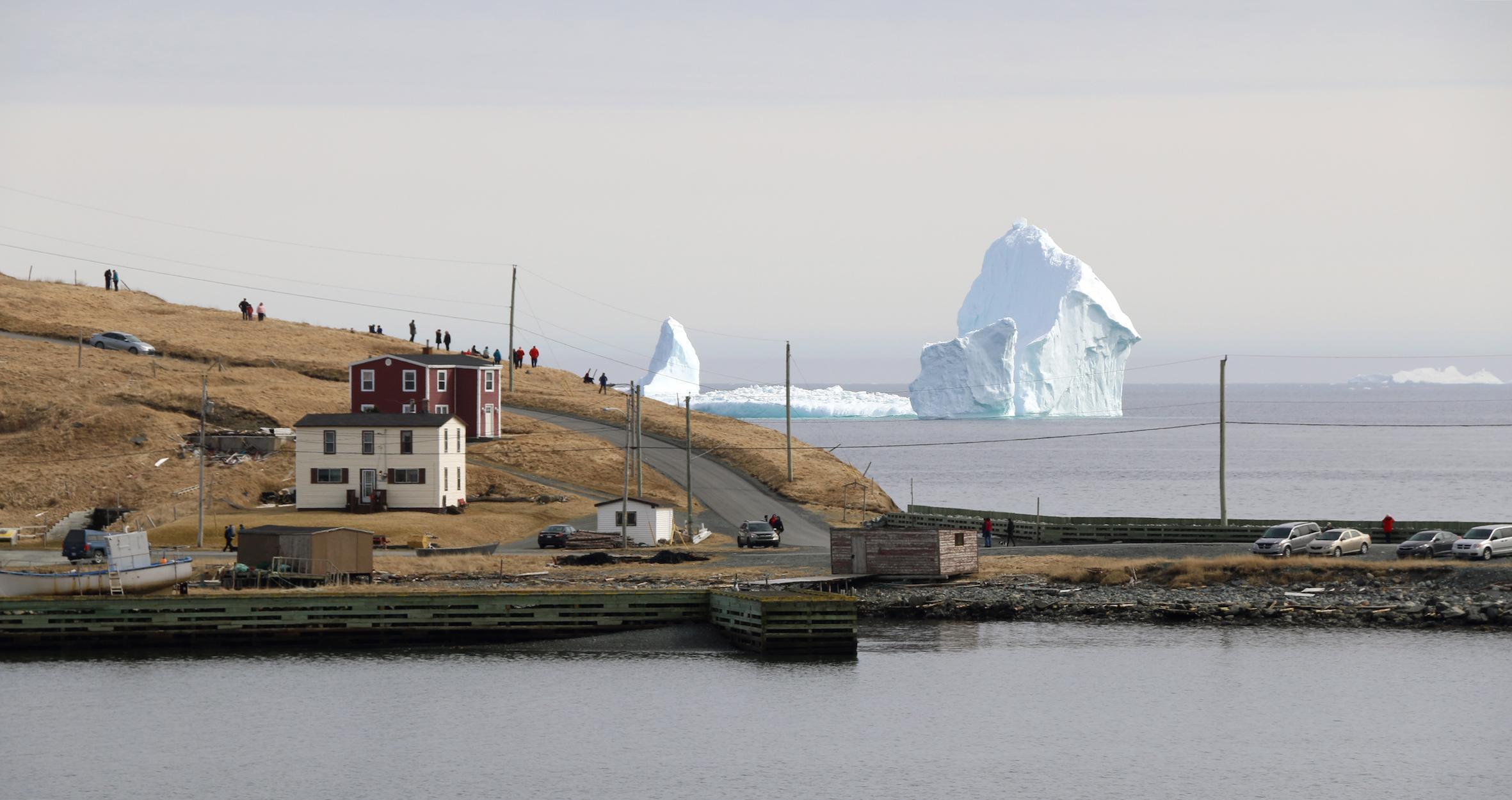 iceberg alley near ferryland newfoundland canada