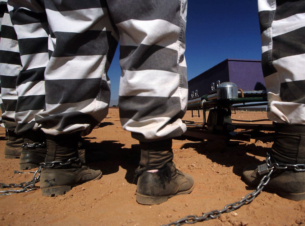 Female jail inmates are chained together as they bury cadavers at Maricopa County's pauper's graveyard in Phoenix, Arizona