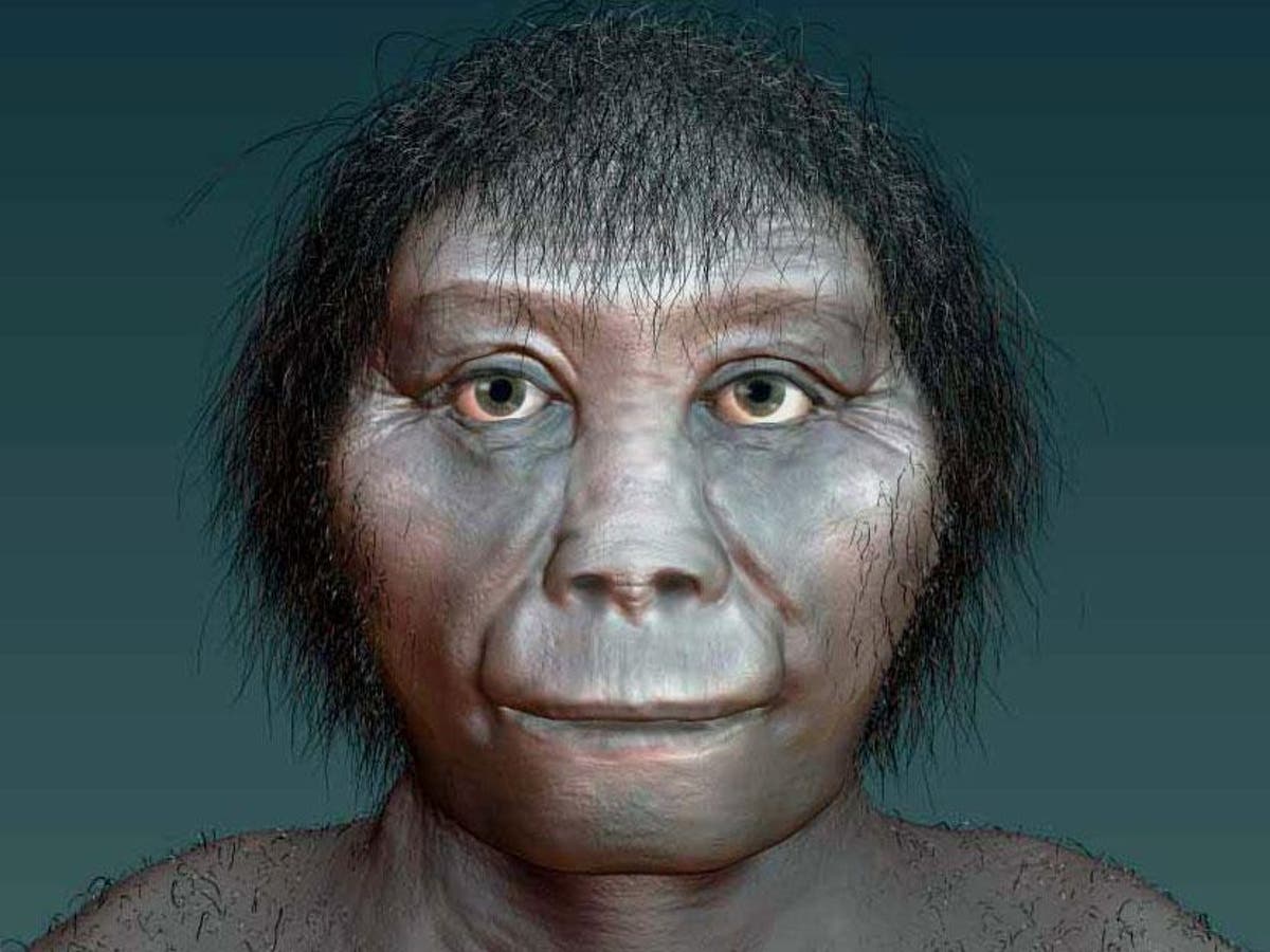 Real-life 'hobbits' could be one of the earliest forms of human, say ...