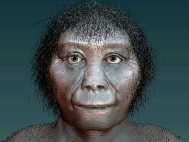 An artist's impression of Homo floresiensis