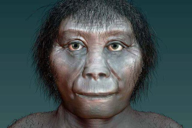 An artist's impression of Homo floresiensis