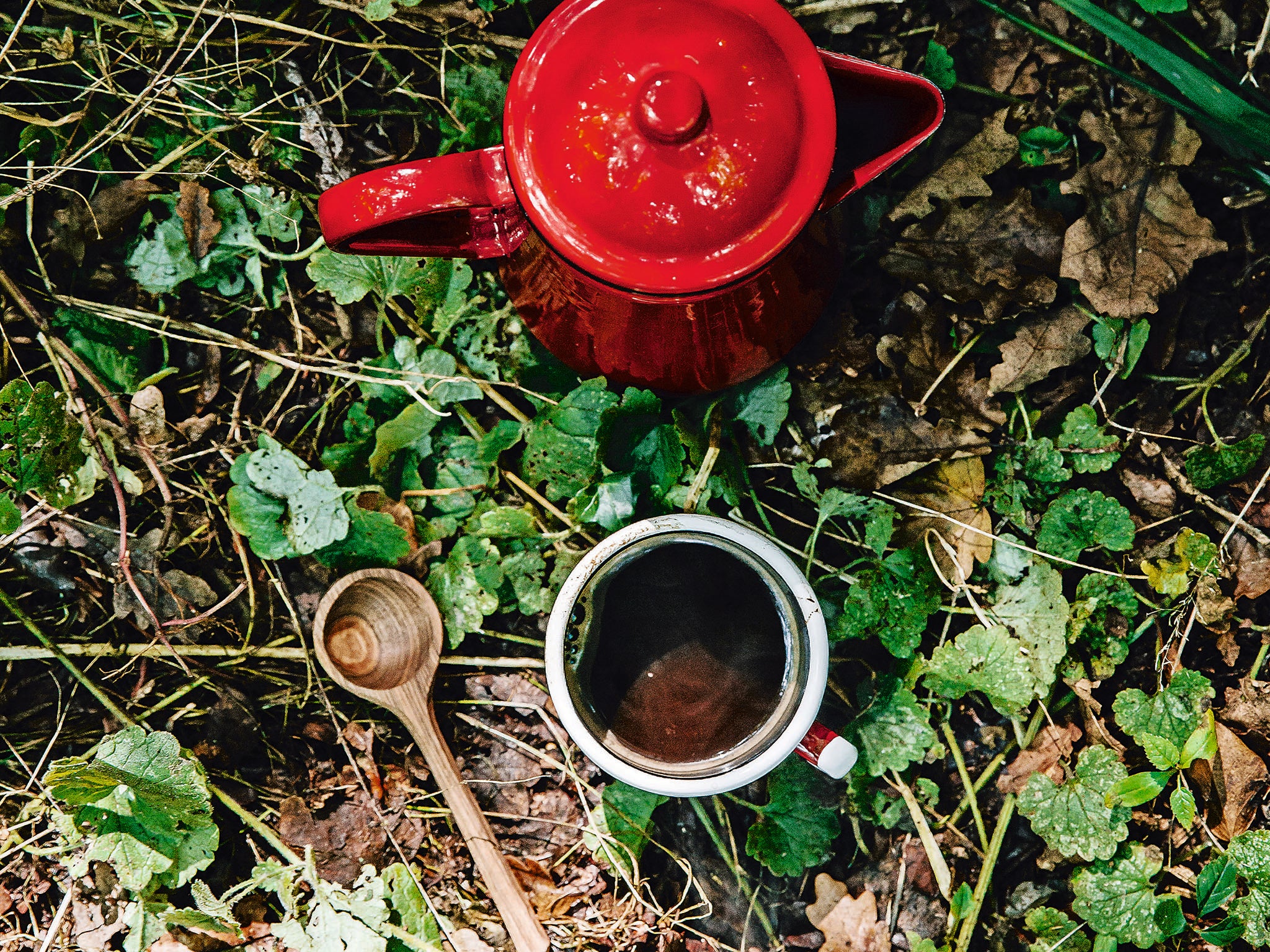 The coffee scoop spoon